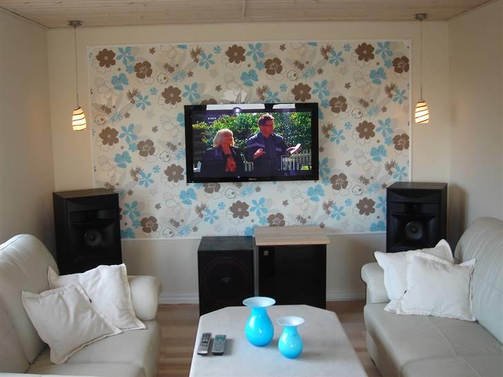 Hjemmebiograf Pioneer / Cerwin vega billede 1