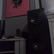 Musikanlæg Pioneer /Avance/ Stereo