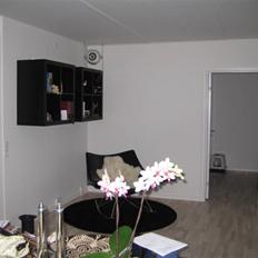 Hjemmebiograf NAD, EBTB og Argon