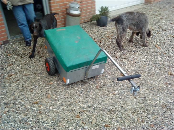 Bilstereo Anlæg i Cykel trailer billede 9