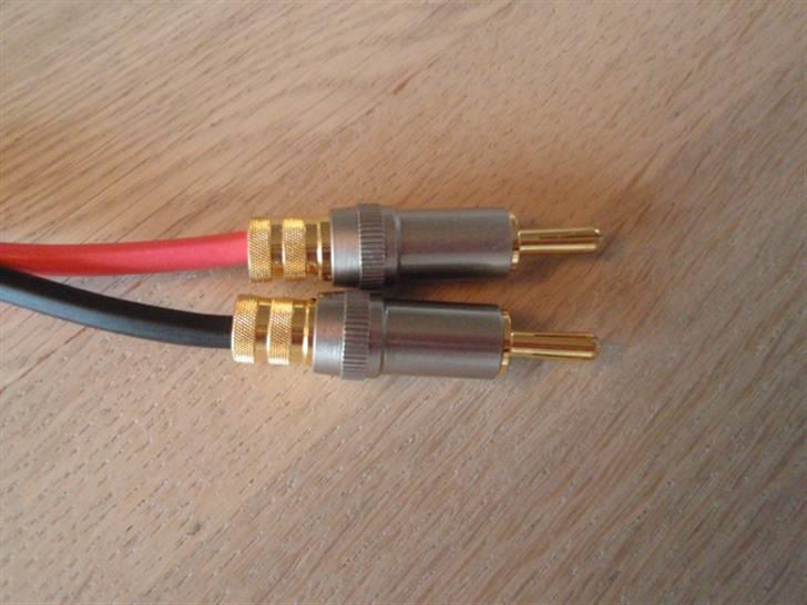 Musikanlæg Focal JM & Rogue Audio billede 12