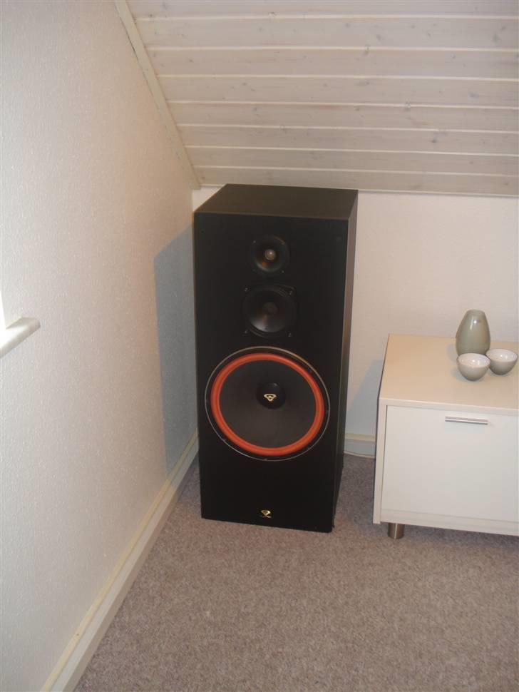 Musikanlæg Cerwin Vega & Pioneer billede 9