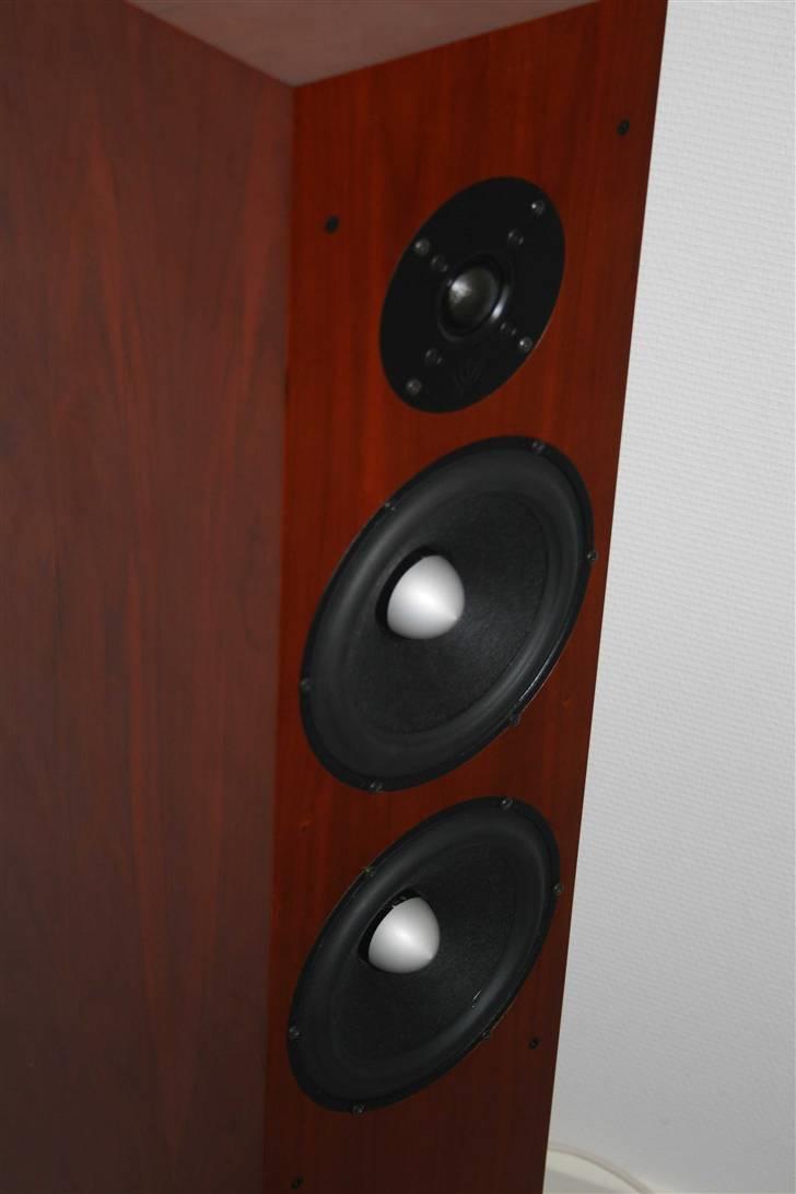 Hjemmebiograf mit anlæg billede 17