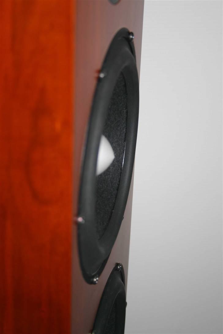 Hjemmebiograf mit anlæg billede 19