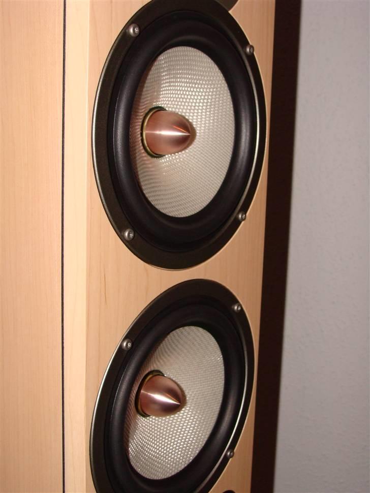 Hjemmebiograf Drive-in - DENON - ARGON billede 9