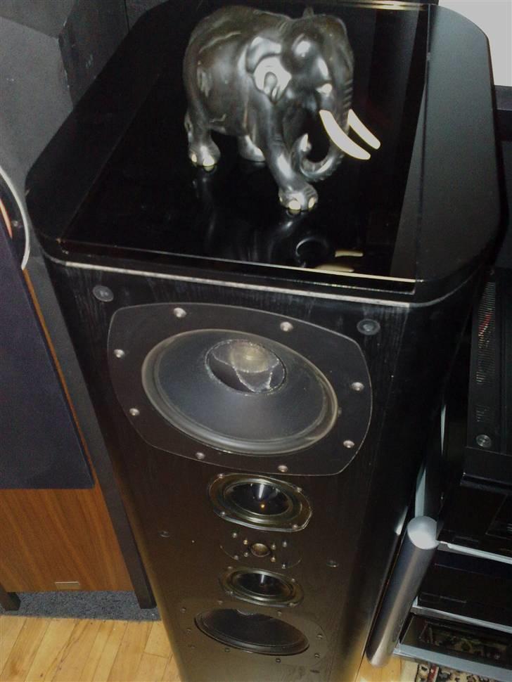 Hjemmebiograf Cerwin Vega - Barco - En elefant, på mine Dali 40 -- så de ikk flyver væk  ; ) billede 9