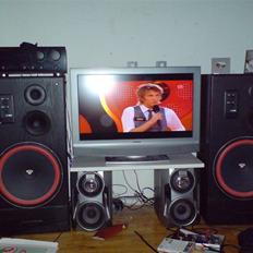 Musikanlæg Cerwin Vega E-315 solgt