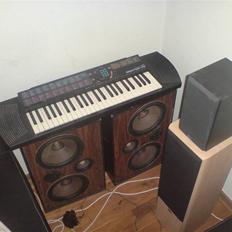 Hjemmebiograf cervin wega vs nad