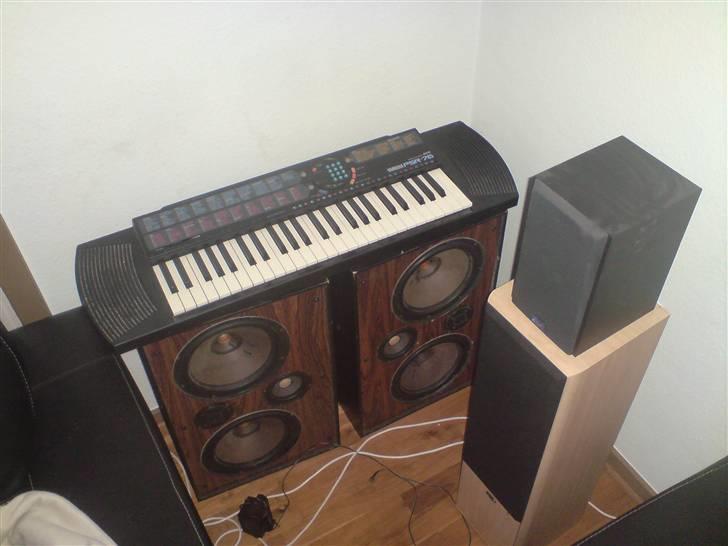 Hjemmebiograf cervin wega vs nad billede 3