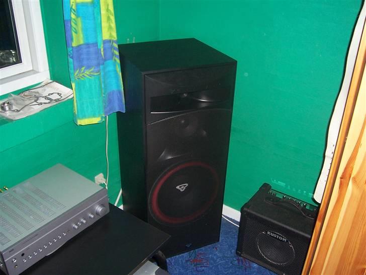 Musikanlæg Cerwin Vega - Nad - Højre højtaler billede 2