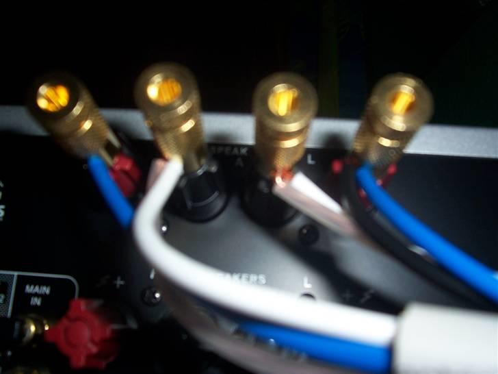 Musikanlæg Cerwin Vega - Nad - Bi-wiring i forstærker billede 9