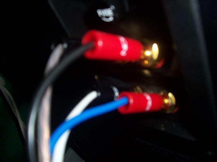 Musikanlæg Cerwin Vega - Nad - Bi-wiring i højtaler billede 10