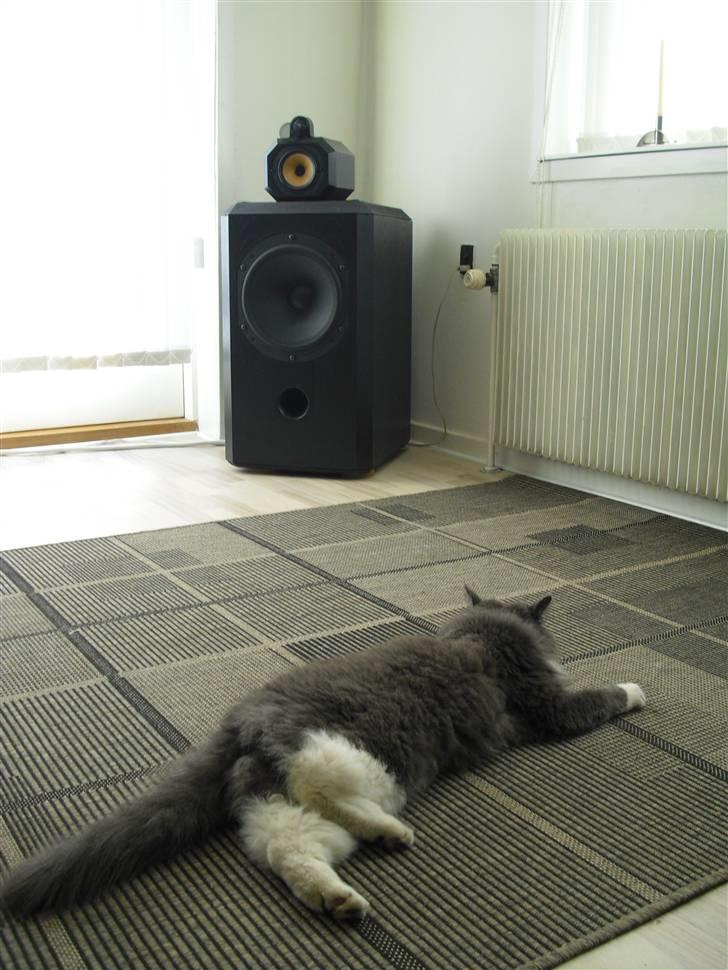 Musikanlæg Nad / B&W. billede 9