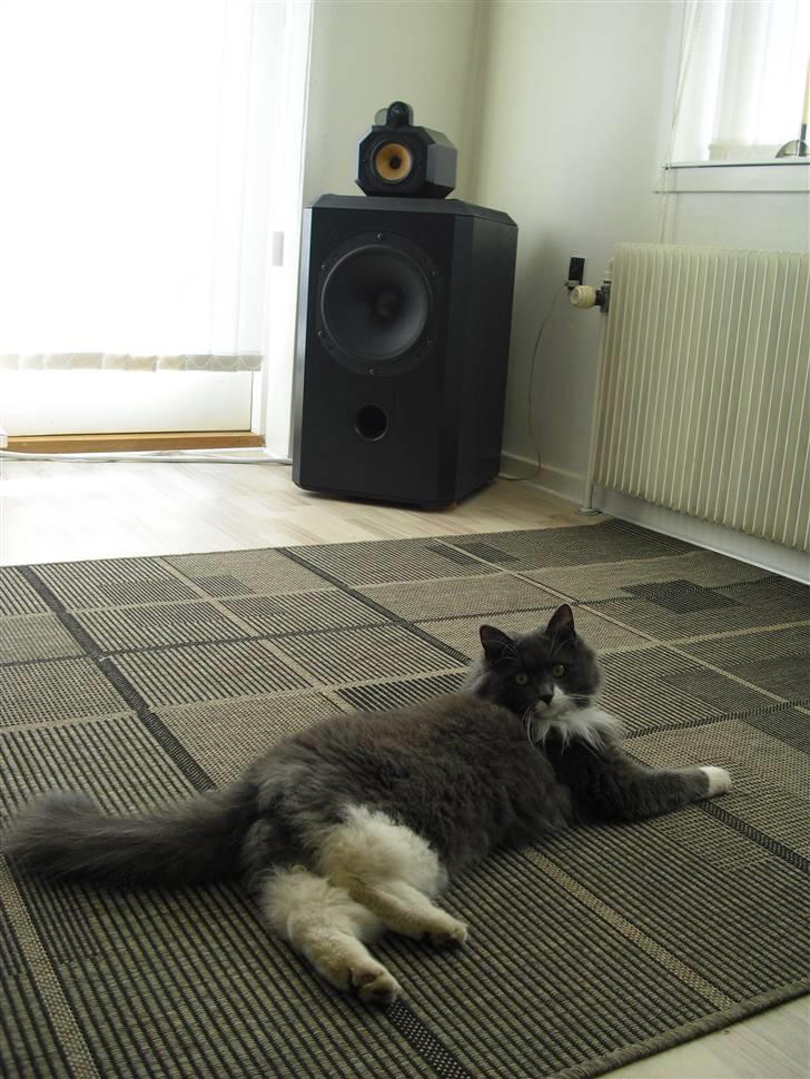 Musikanlæg Nad / B&W. - Da jeg ikke i øjeblikket har mulighed for, at tage billeder af mit anlæg i fuld bredde (højtt. - højtt.) må vi indtil videre nøjes med dette!!! billede 10