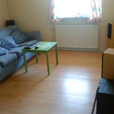 Hjemmebiograf 100"ny version på vej