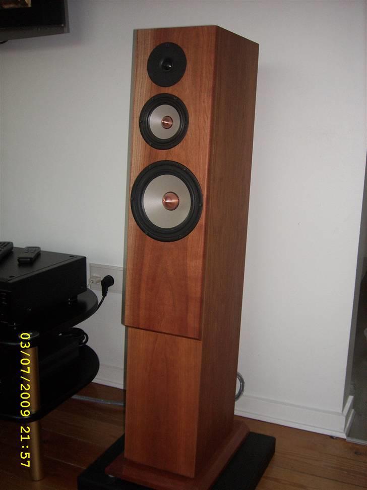 Musikanlæg Rotel & Trols G DIY billede 8