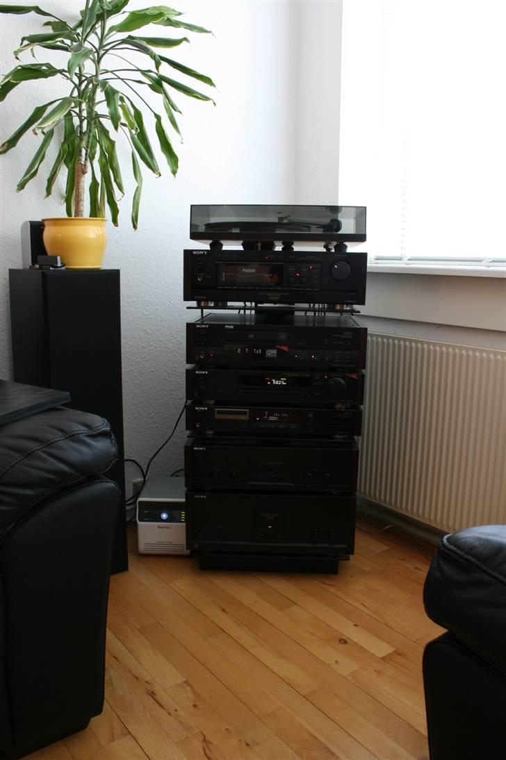 Musikanlæg Sony ES - Series (projekt - Anlægget lidt på afstand, der kan man se de kommende baghøjttalere Dali 104 billede 17