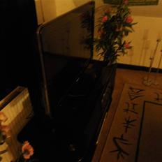 Hjemmebiograf Philips