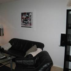 Hjemmebiograf Min stue