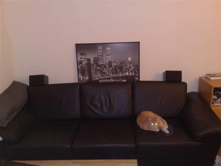 Hjemmebiograf Budget surround billede 7