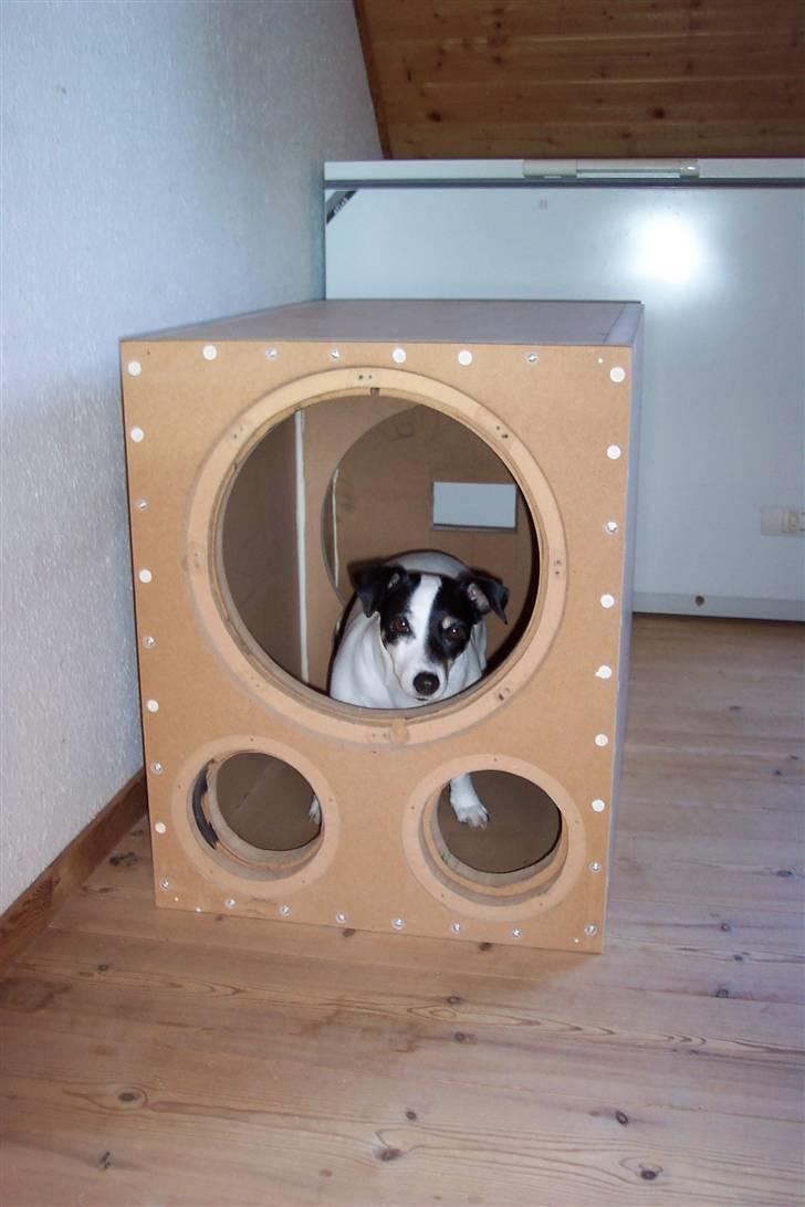 Hjemmebiograf Verdens billigeste anlæg billede 6