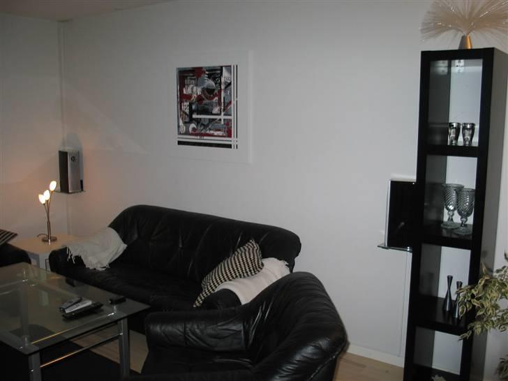 Hjemmebiograf Min stue billede 2