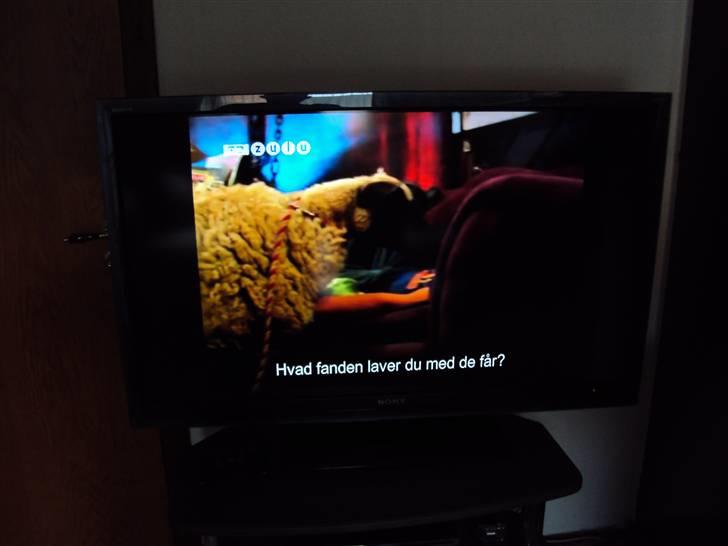 Hjemmebiograf sony-onkyo-cv-jamo billede 5