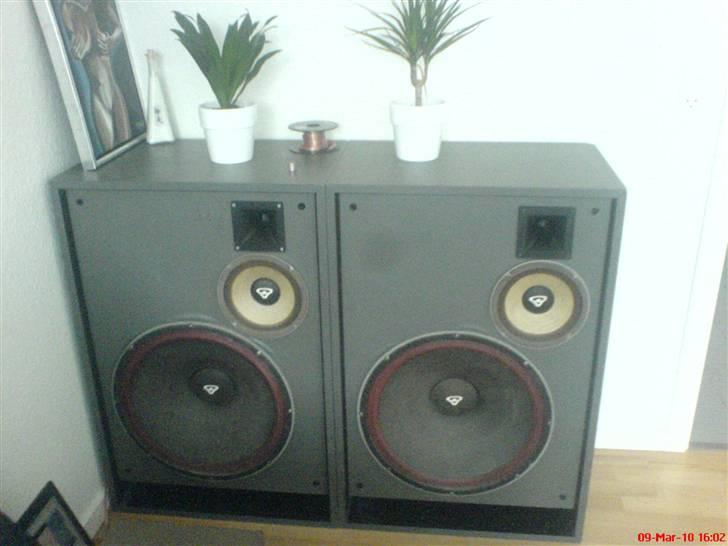 Musikanlæg Cerwin Vega D18EE billede 5