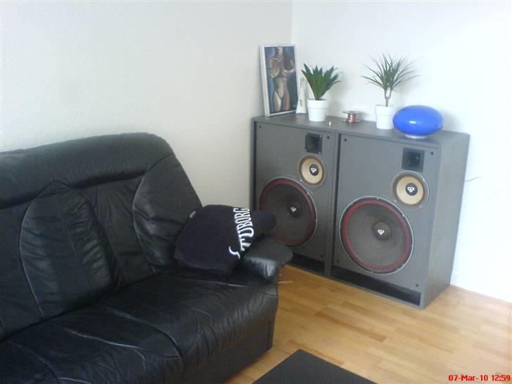 Musikanlæg Cerwin Vega D18EE billede 6