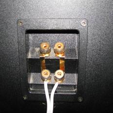 Musikanlæg Dali 850, IcePower