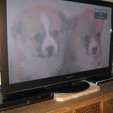 Hjemmebiograf Panasonic 50" Full HD. 3D