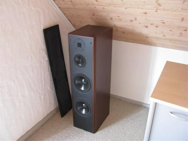 Musikanlæg Dali 850, IcePower   billede 2