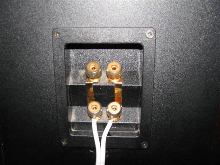 Musikanlæg Dali 850, IcePower   billede 3