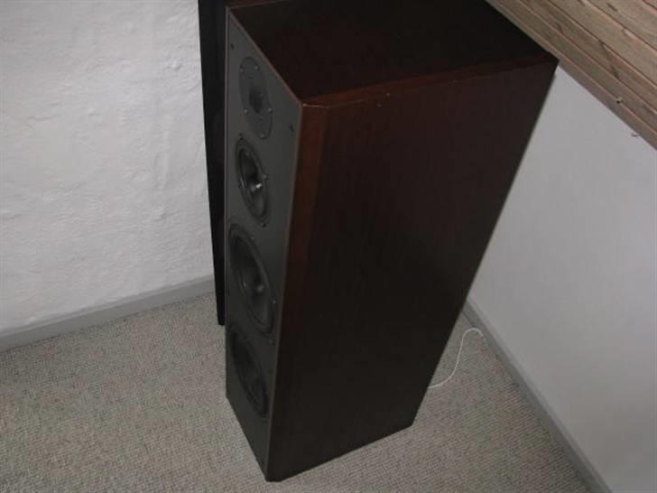 Musikanlæg Dali 850, IcePower   billede 4