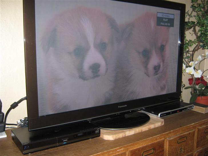 Hjemmebiograf Panasonic 50" Full HD. 3D - Panasonic 50" Full HD 3D TV. billede 3