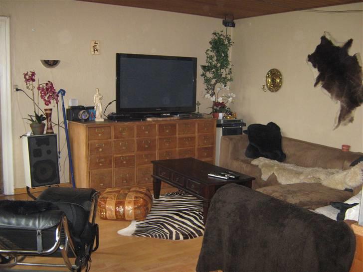 Hjemmebiograf Panasonic 50" Full HD. 3D - billede af rumme /.stue billede 11