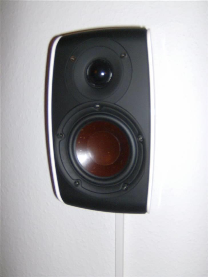 Hjemmebiograf Dali / Denon WAF setup billede 4