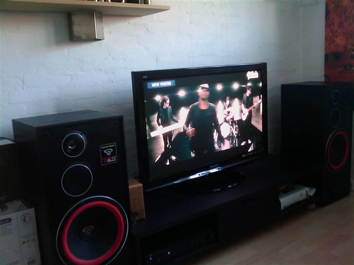 Musikanlæg Sony - Cerwin-Vega billede 1