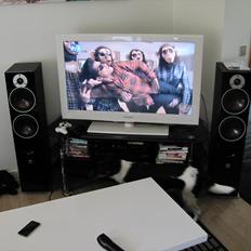 Musikanlæg Dali Zensor 7