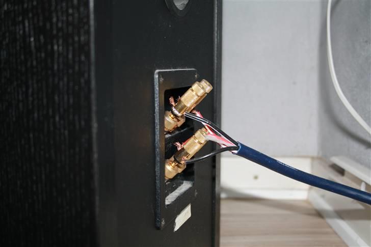 Musikanlæg Dali 850 & H/K - Dali 850 - Bi-wire. billede 7