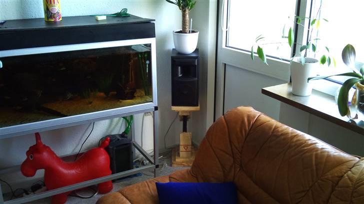 Hjemmebiograf Mit gamle setup billede 11