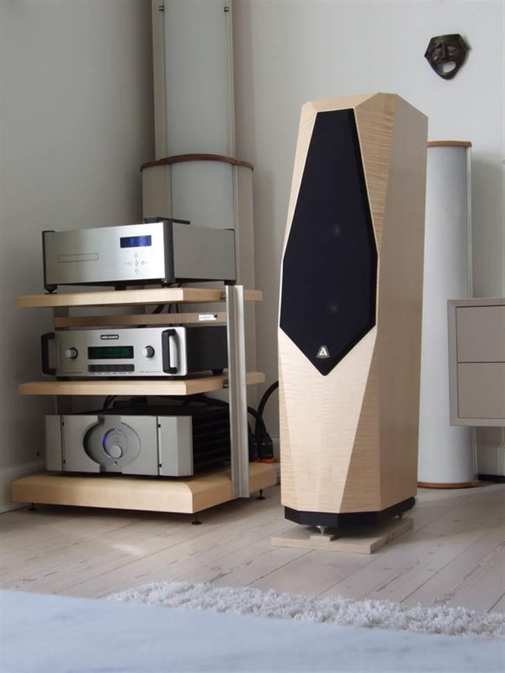 Musikanlæg Avalon Transcendent billede 5