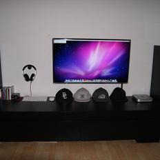 Musikanlæg Dali Concept 8/NAD/Argon