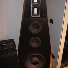 Hjemmebiograf DIY B&W-Scanspeak