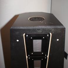 Hjemmebiograf DIY B&W-Scanspeak
