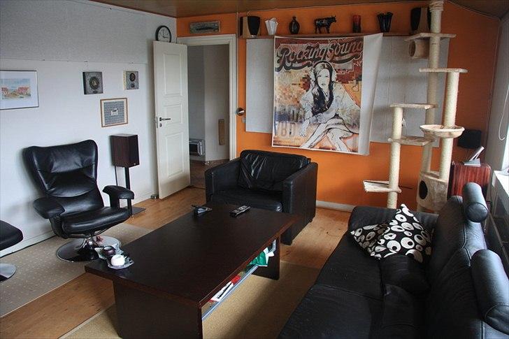 Hjemmebiograf Primare/Vienna stuen :-)  - Stående i terrassedøren billede 4