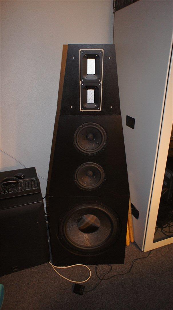 Hjemmebiograf DIY B&W-Scanspeak billede 1