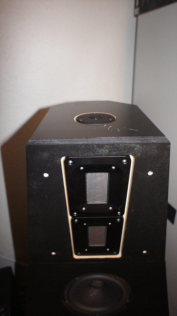 Hjemmebiograf DIY B&W-Scanspeak billede 2