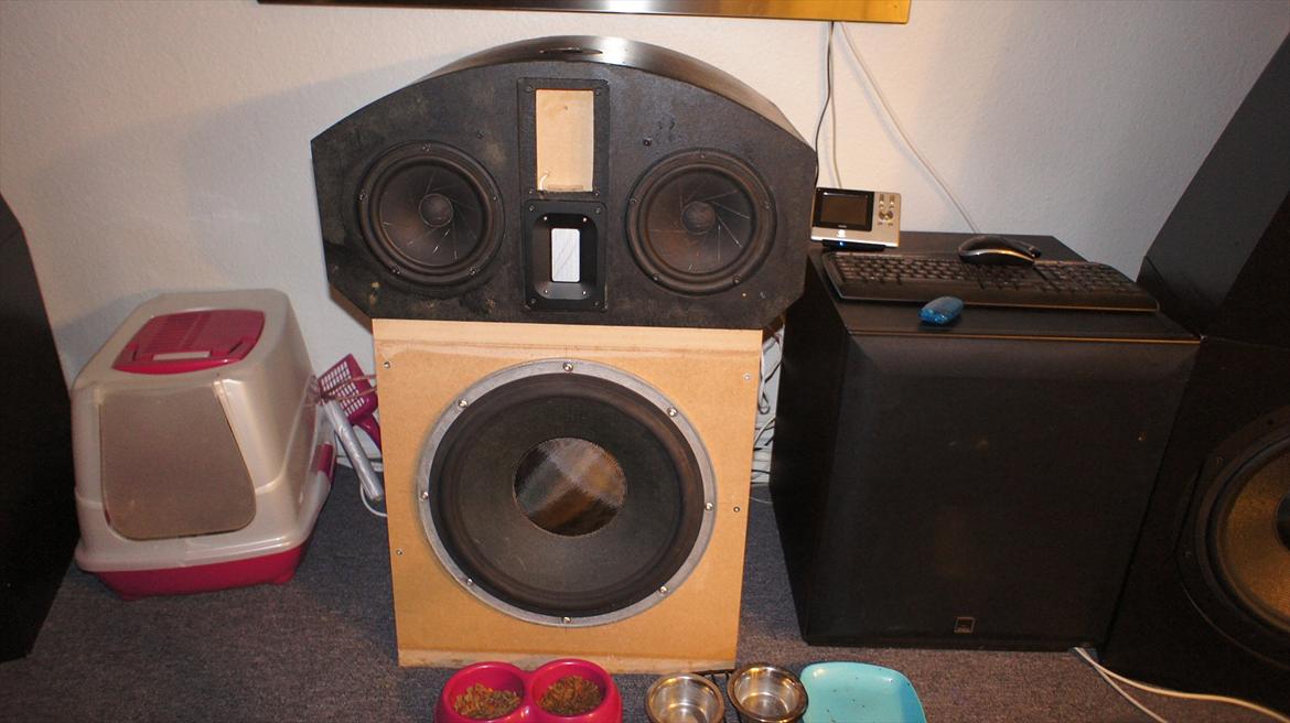Hjemmebiograf DIY B&W-Scanspeak billede 3