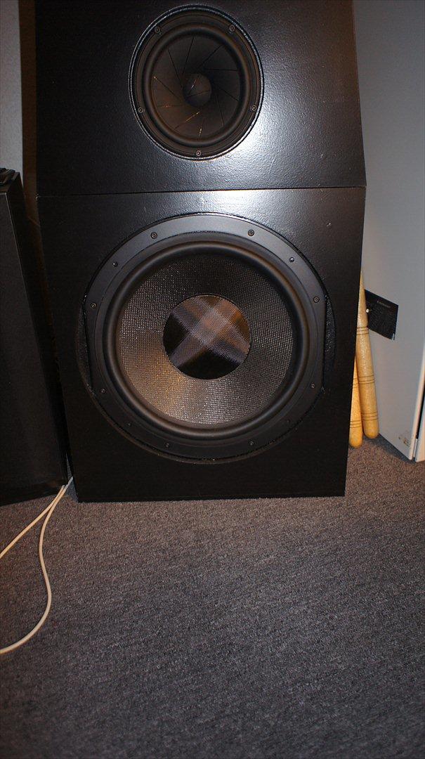 Hjemmebiograf DIY B&W-Scanspeak billede 4